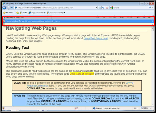 The Information Bar in Internet Explorer 8.