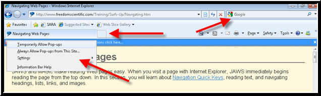 The Information Bar in Internet Explorer 8 showing a context menu of choices.