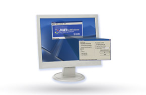 Computer screen with JAWS menu. Computer screen with JAWS menu.