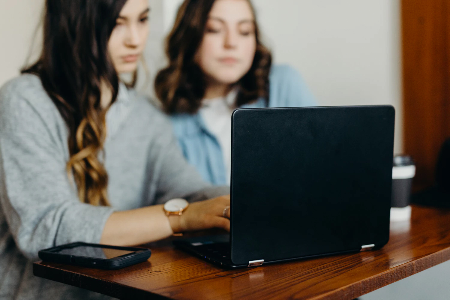 Two women using software on computer at home